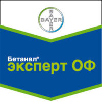 Бетанал Эксперт ОФ