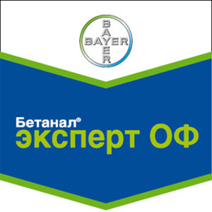 Бетанал Эксперт ОФ