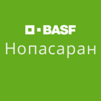 Нопасаран