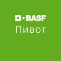 Пивот