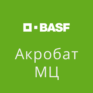 Акробат МЦ