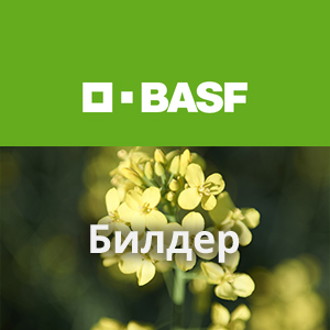 Билдер