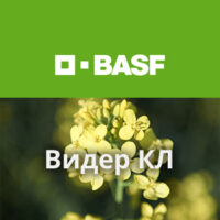 Видер КЛ