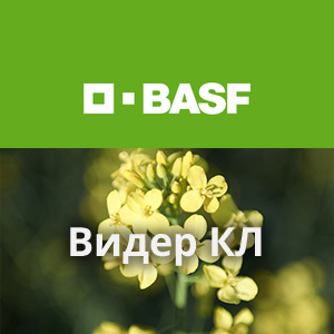 Видер КЛ
