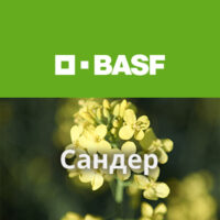 Сандер