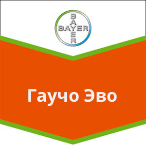 Гаучо Эво
