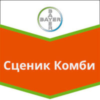 Сценик Комби