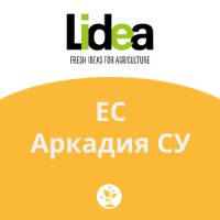 ЕС Аркадия СУ