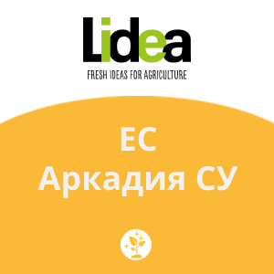 ЕС Аркадия СУ