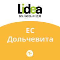 ЕС Дольчевита