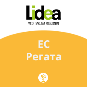 ЕС Регата