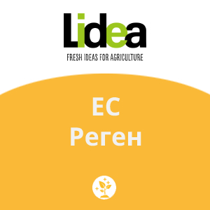 ЕС Реген