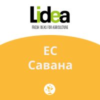 ЕС Савана