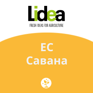 ЕС Савана