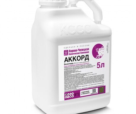 Аккорд