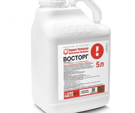 Восторг