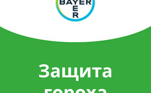 Защита гороха Bayer