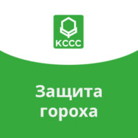 Защита гороха КЧХК