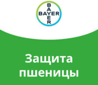 Защита пшеницы Bayer