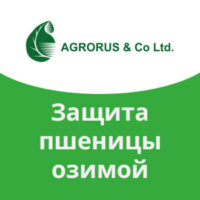 Защита пшеницы озимой Агрорус
