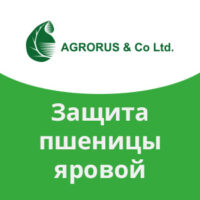Защита пшеницы яровой Агрорус