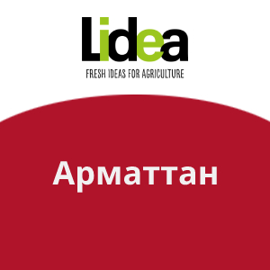 Арматтан