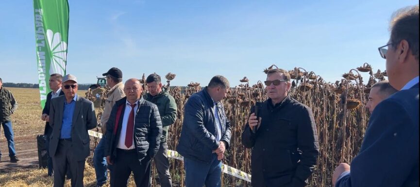 ДЕНЬ ПОЛЯ "АГРОХИМ-ГАРАНТ" на полях Архангельского района
